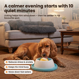 Pawdys Anti-Stress Lick Bowl – a calmer evening starts with 10 quiet minutes