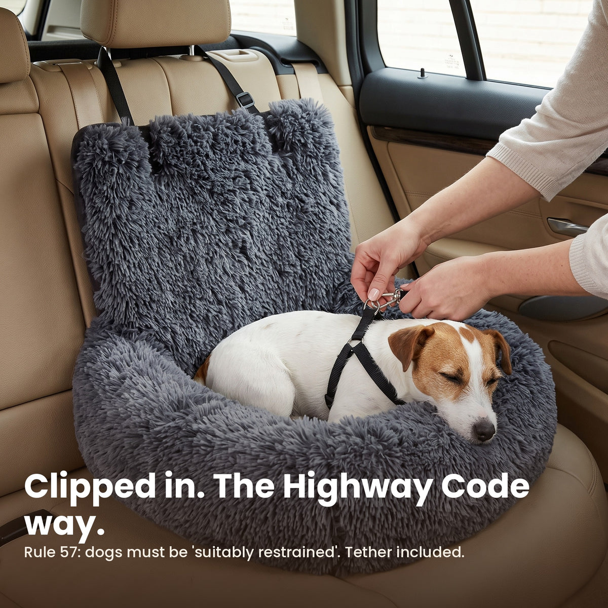 Dog clipped in with the safety tether