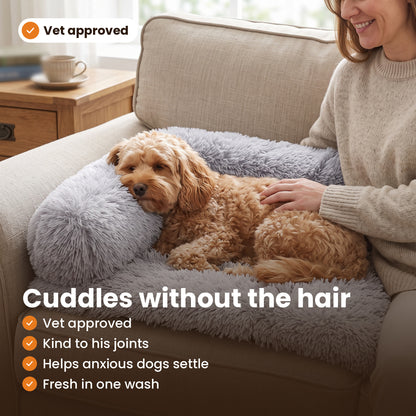 Four benefits of the Pawdys Luxury Sofa Bed: vet approved, kind to joints, calming, washable