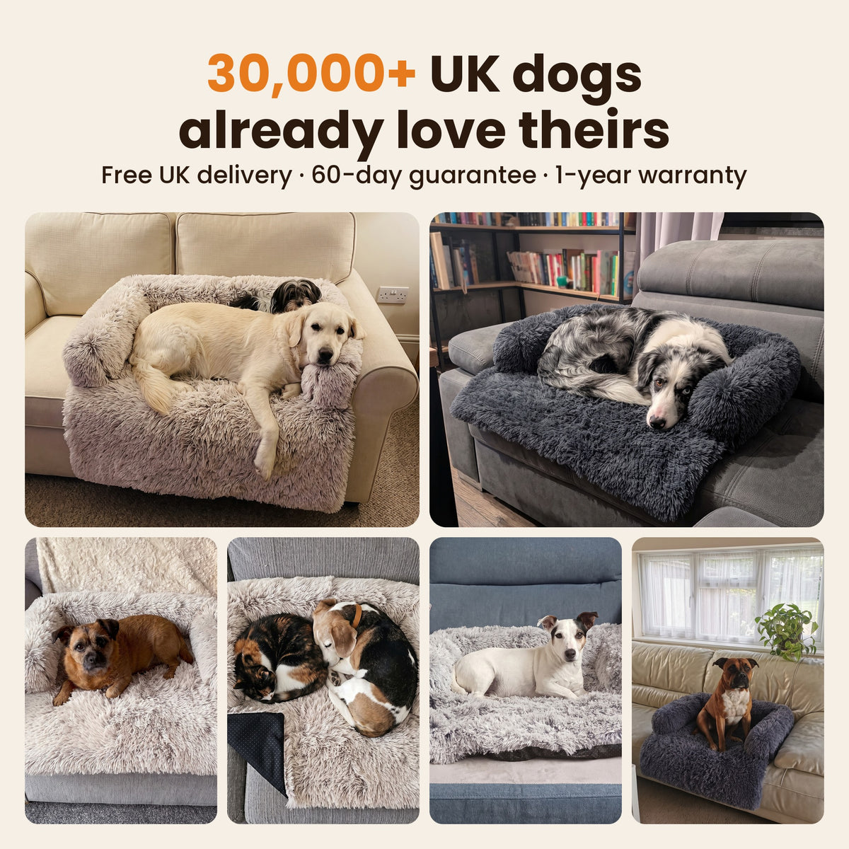 Dogs relaxing on the Pawdys Luxury Sofa Bed in UK homes