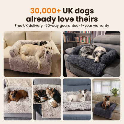 Dogs relaxing on the Pawdys Luxury Sofa Bed in UK homes