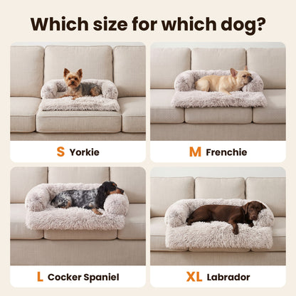 Size examples: Yorkie on S, Frenchie on M, Cocker Spaniel on L, Labrador on XL