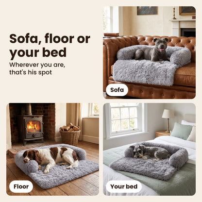 Pawdys sofa bed used on the sofa, on the floor and on a bed